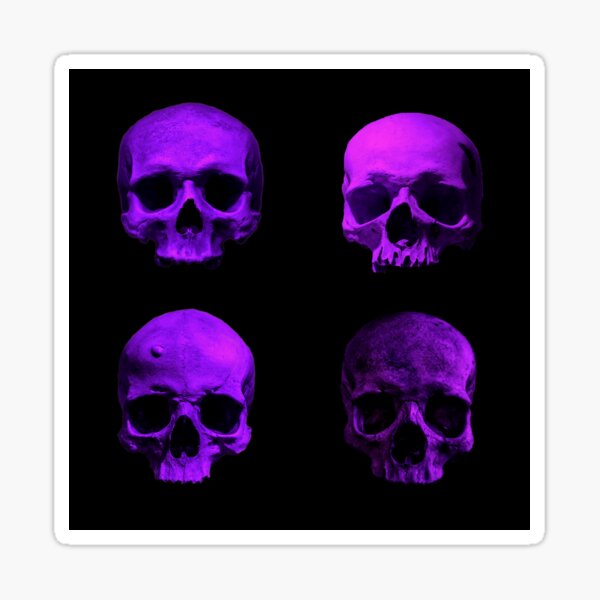 Skull quartet Sticker