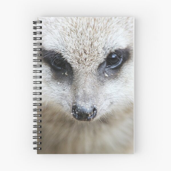 Item preview, Meerkat designed and sold by Rhiannon Phillips.