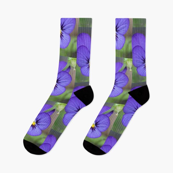 Item preview, Viola named Sorbet Blue Heaven Jump-Up designed and sold by JMcCombie.