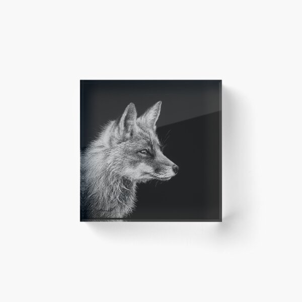 Red Fox Black and White Art Acrylic Block