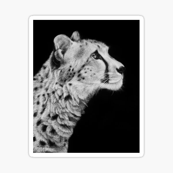 Cheetah Black and White Art Sticker