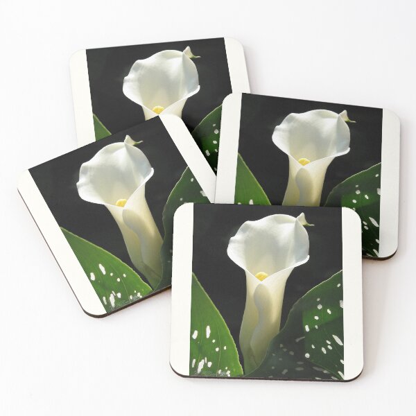 Item preview, Zantedeschia named Little Jimmy designed and sold by JMcCombie.