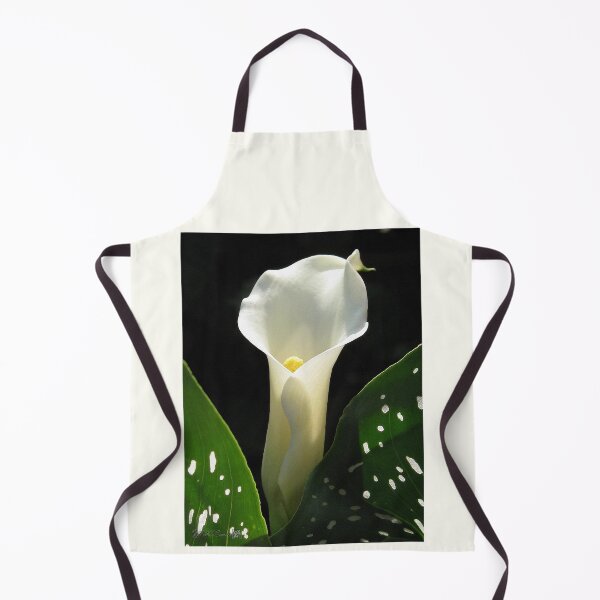 Item preview, Zantedeschia named Little Jimmy designed and sold by JMcCombie.