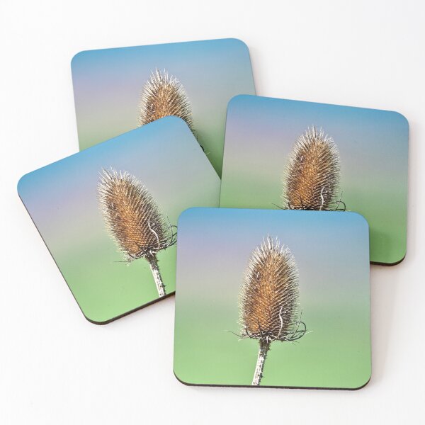 Item preview, Solitary Teasel Against Pastel Skies. designed and sold by Kerry Palmer.