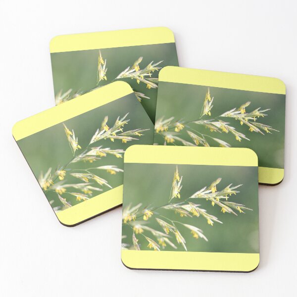 Item preview, Flowering Brome Grass designed and sold by JMcCombie.