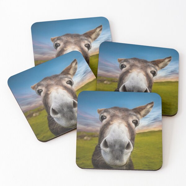 Item preview, Donkey designed and sold by BK-Fishing.
