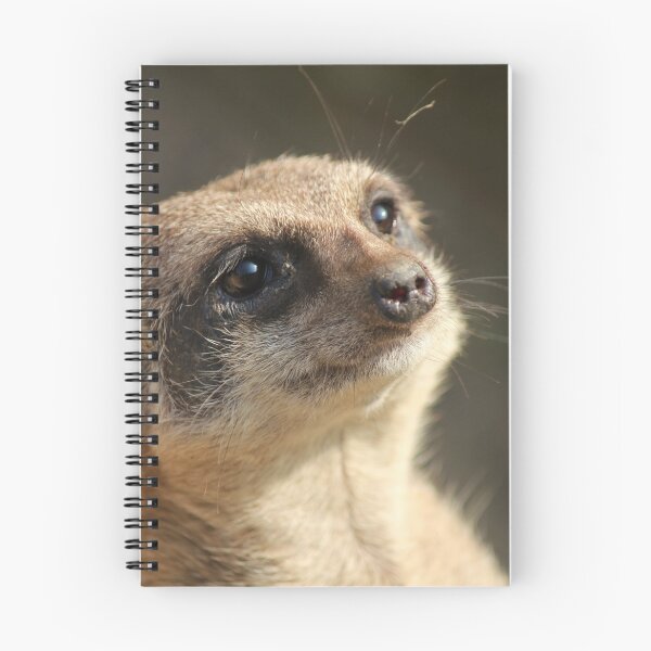 Item preview, "Stumpy" the Meerkat designed and sold by Rhiannon Phillips.