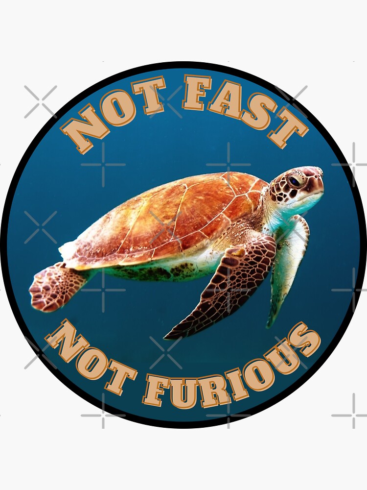 not fast not furious