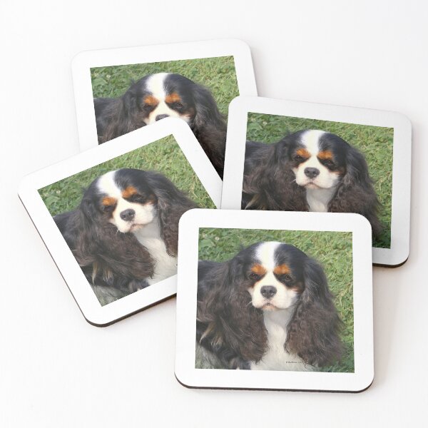 Item preview, Cavalier King Charles Spaniel designed and sold by Terry McNamee.