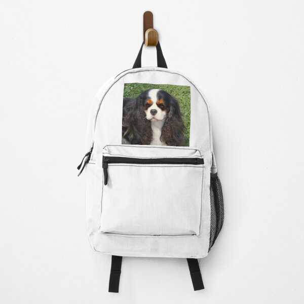 Item preview, Cavalier King Charles Spaniel designed and sold by Terry McNamee.
