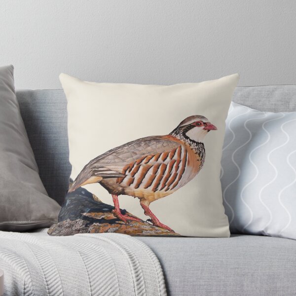 Perdrix rouge par Sab Arts Coussin