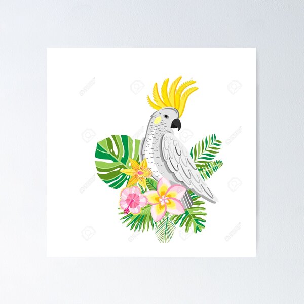 Item preview, cockatoo designed and sold by Joe Ali.