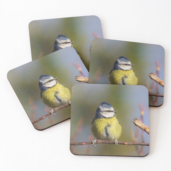 Item preview, Blue Tit (Cyanistes caeruleus) designed and sold by heidipics.
