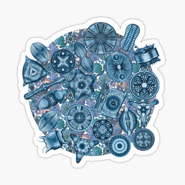 Item preview, Ernst Haeckel Teal Diatoms Tossed over Sea Squirts designed and sold by aimeewilson.