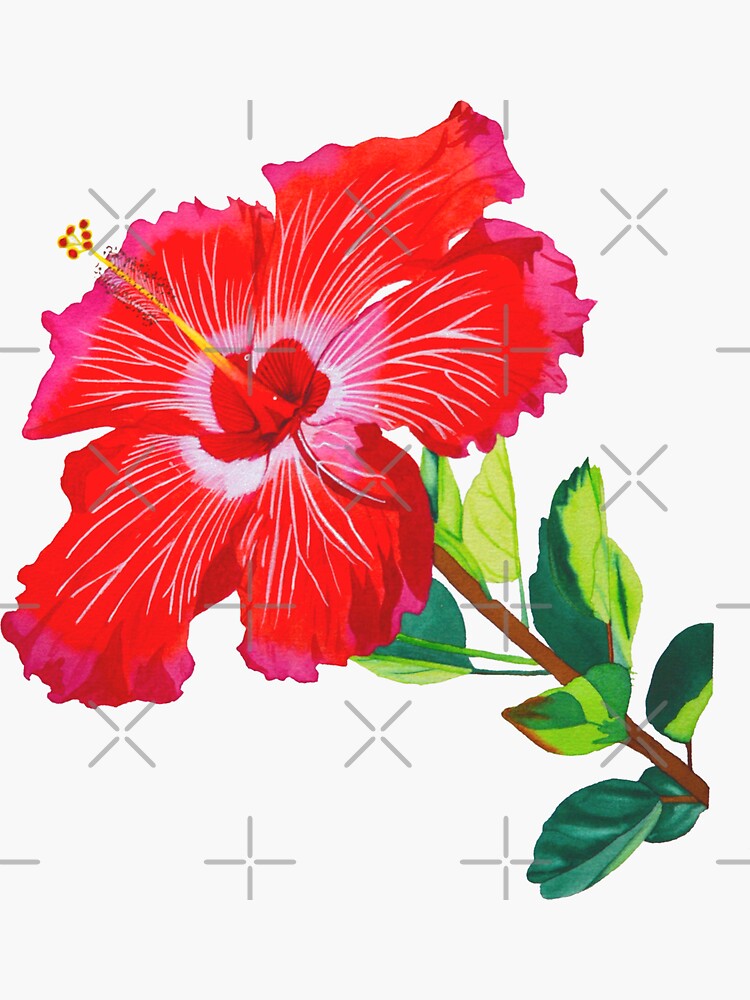 stickers avec fleur d'hibiscus