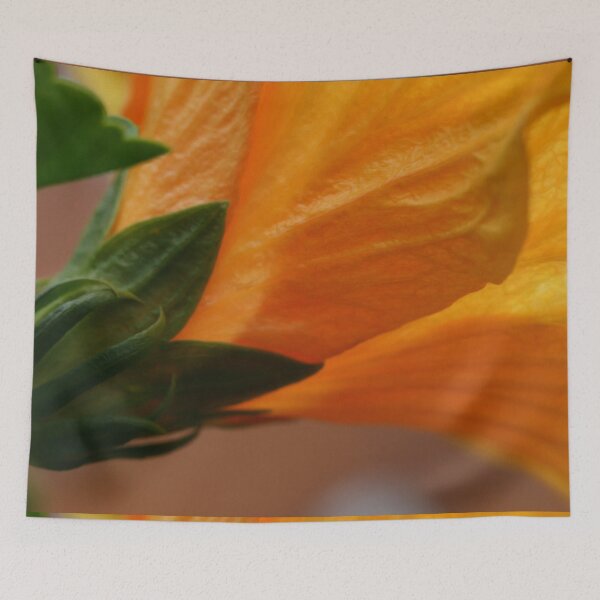 Item preview, Flower Macro Petals Close Up Colorful Blossom  designed and sold by DanielCarvalho2.