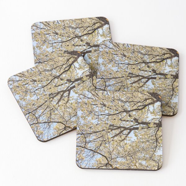 Item preview, Summer Trees designed and sold by J+J Photography.