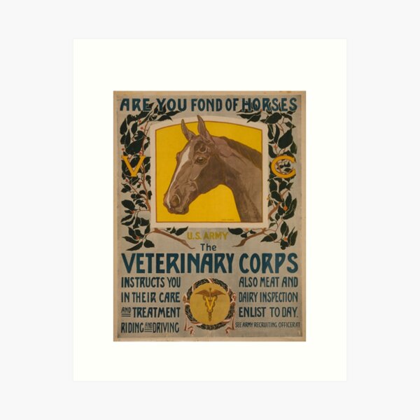 Vista previa del artículo con la obra «Caballos del cuerpo veterinario», diseñado y vendido por Rockray.
