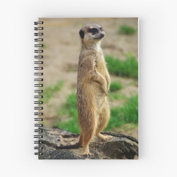 Item preview, Living That Meerkat Life! designed and sold by InsideOutSox.