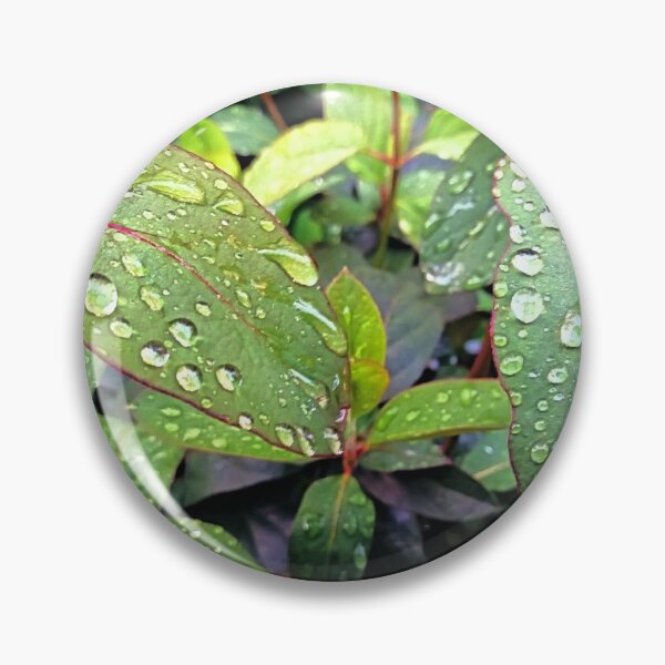 Item preview, Raindrops Diamonds / photography by Livia Leoveanu designed and sold by Livia  Leoveanu.