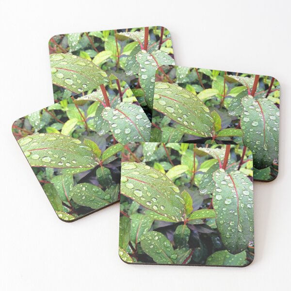 Item preview, Raindrops Diamonds / photography by Livia Leoveanu designed and sold by Livia  Leoveanu.