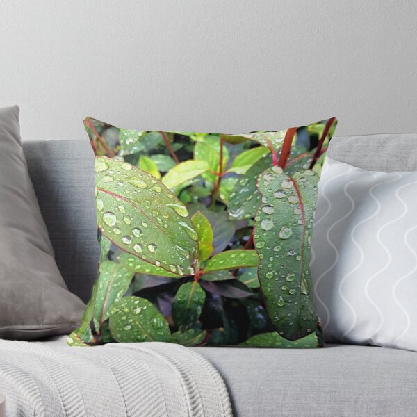 Item preview, Raindrops Diamonds / photography by Livia Leoveanu designed and sold by Livia  Leoveanu.