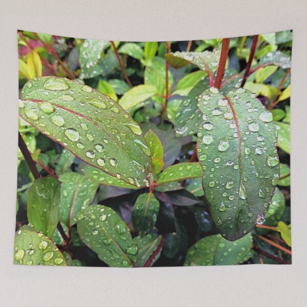 Item preview, Raindrops Diamonds / photography by Livia Leoveanu designed and sold by Livia  Leoveanu.