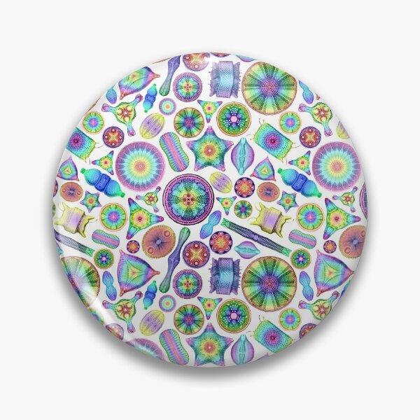 Item preview, Ernst Haeckel Rainbow Diatoms Tossed designed and sold by aimeewilson.