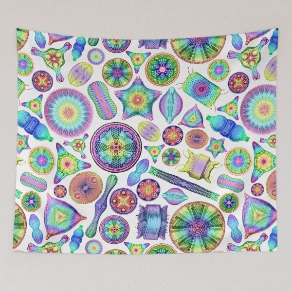 Item preview, Ernst Haeckel Rainbow Diatoms Tossed designed and sold by aimeewilson.