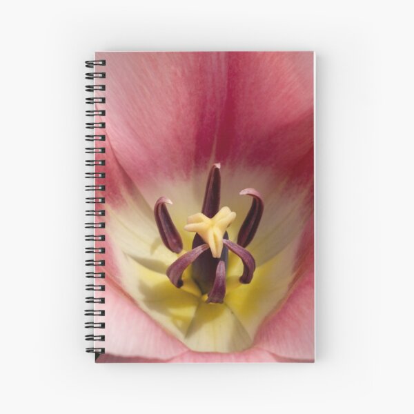 Pink Tulip and Stamen Spiral Notebook