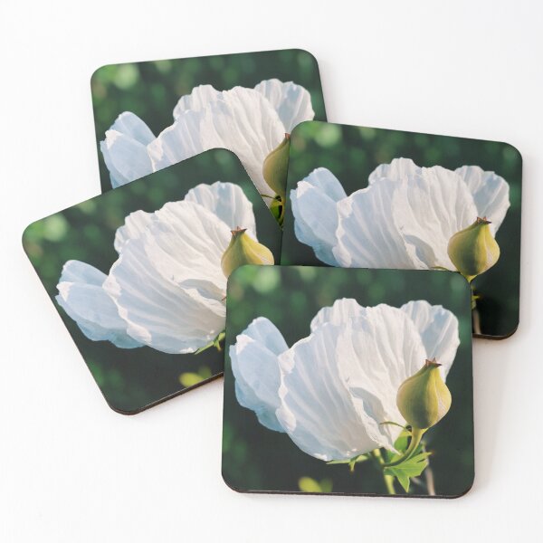 Item preview, White Flower Photo, Matilija Poppy designed and sold by homotropic.