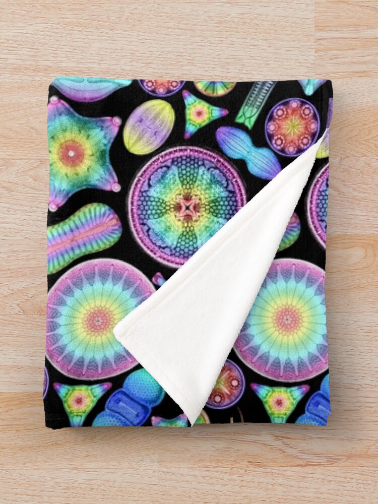 Alternate view of Ernst Haeckel Rainbow Diatoms on Black Throw Blanket