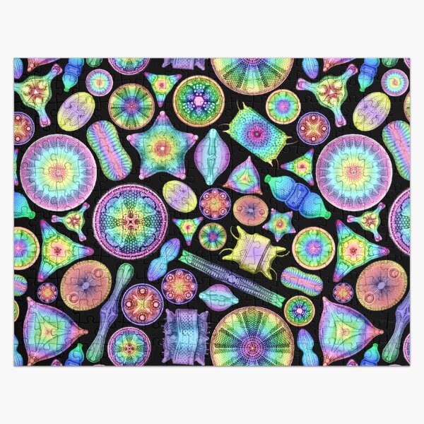 Vista previa del artículo con la obra «Diatomeas arcoíris de Ernst Haeckel sobre negro», diseñado y vendido por aimeewilson.