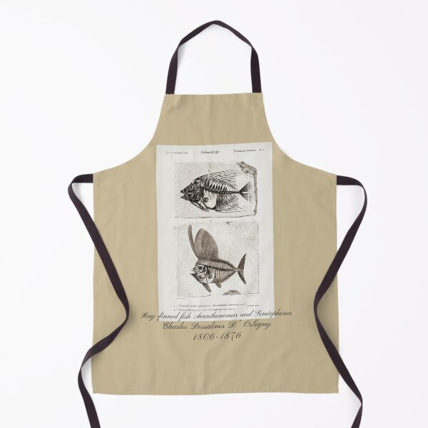 Aperçu de l'œuvre Poisson à nageoires rayonnées Acanthonemus et Semiophorus Vintage Fossil Design créée et vendue par EarthArtDesigns.