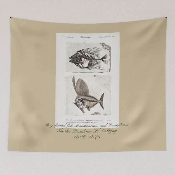 Aperçu de l'œuvre Poisson à nageoires rayonnées Acanthonemus et Semiophorus Vintage Fossil Design créée et vendue par EarthArtDesigns.