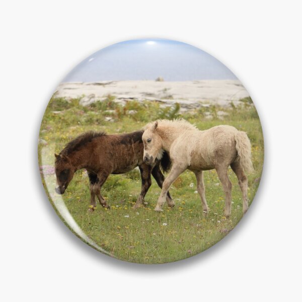 Item preview, Wild Irish Ponies II designed and sold by Emmaline Jones.