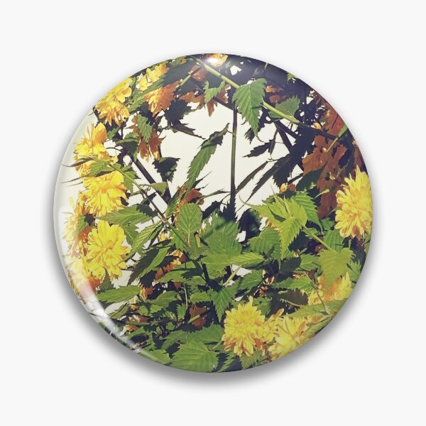 Item preview, Always Sunlight / photography by Livia Leoveanu designed and sold by Livia  Leoveanu.