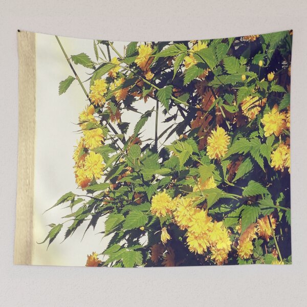Item preview, Always Sunlight / photography by Livia Leoveanu designed and sold by Livia  Leoveanu.
