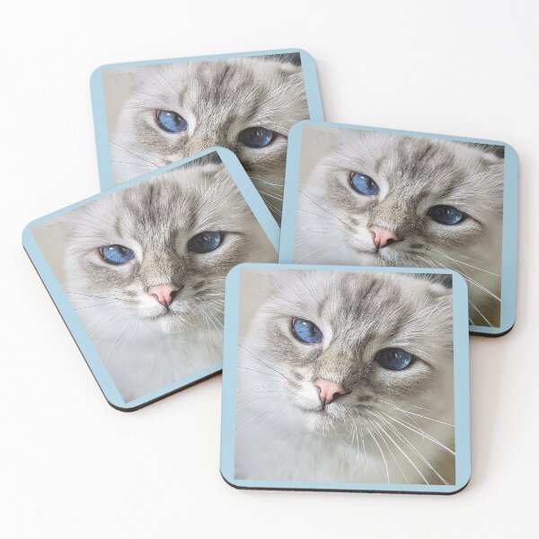 Item preview, Saoirse the ragdoll looking grumpy designed and sold by Fluffycat2020.