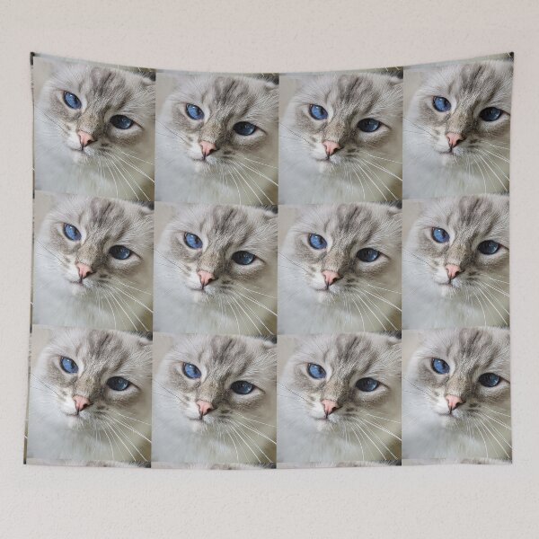 Item preview, Saoirse the ragdoll looking grumpy designed and sold by Fluffycat2020.
