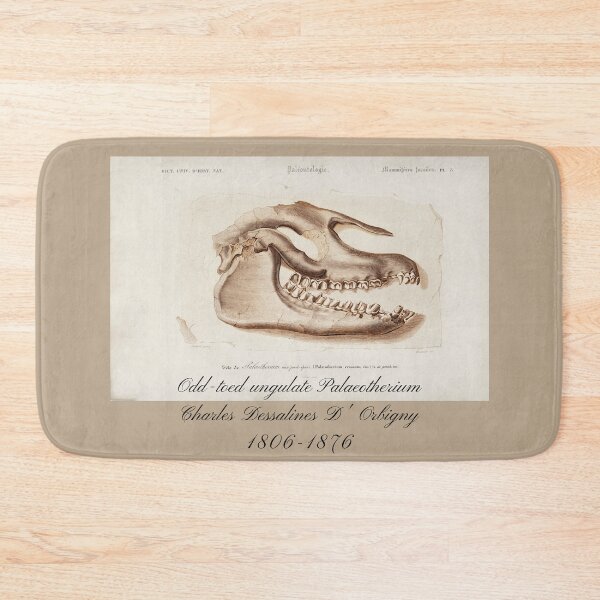 Item preview, Odd-toed ungulate Palaeotherium Vintage Dinosaur Fossil Design designed and sold by EarthArtDesigns.