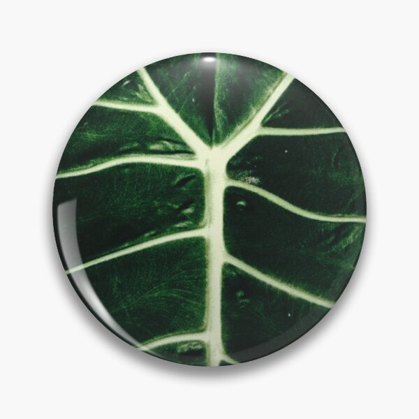 Item preview, Taro plant close up - prominent veins of the leaf designed and sold by FCEalin.