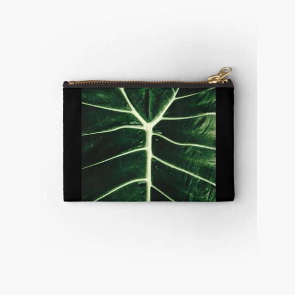 Item preview, Taro plant close up - prominent veins of the leaf designed and sold by FCEalin.