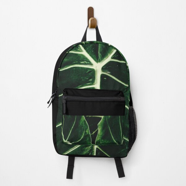 Item preview, Taro plant close up - prominent veins of the leaf designed and sold by FCEalin.