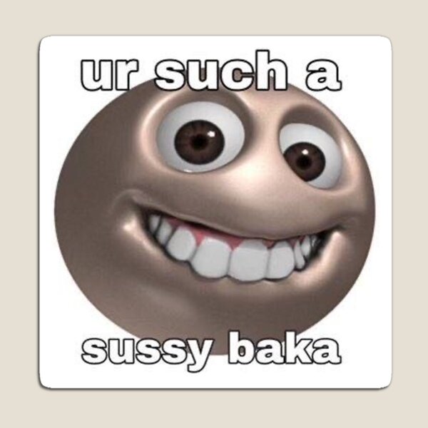 sussy baka elementary school💀💀🗿☕