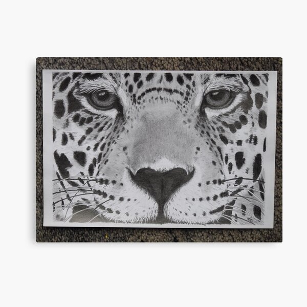Eye of the beholder Canvas Print
