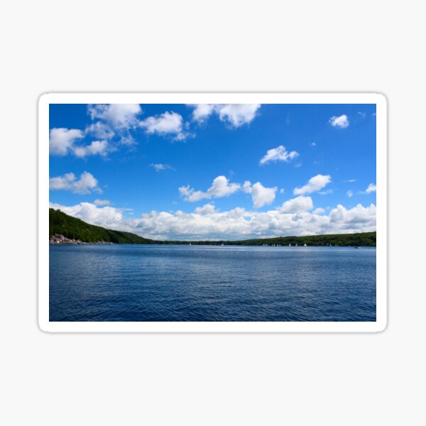 Blue Sky Over Pond Sticker