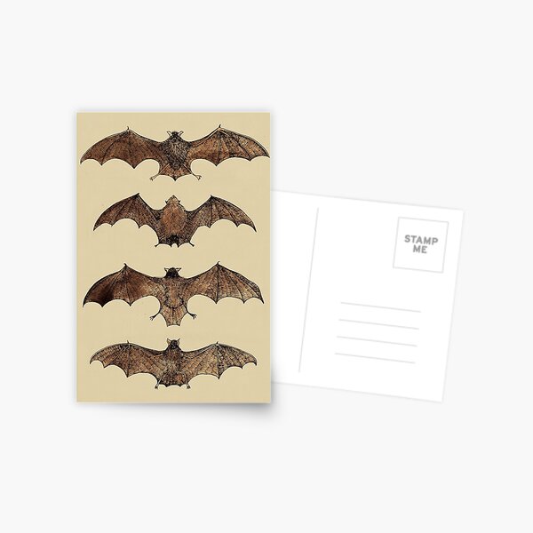 Item preview, Bat studies designed and sold by djrbennett.