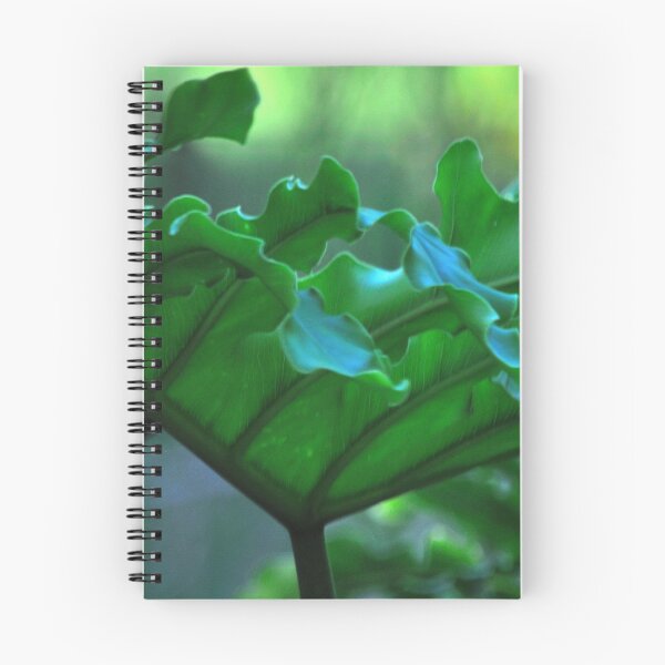 Item preview, Big Leafy Leaf designed and sold by michaelasamples.