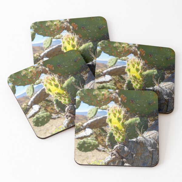 Item preview, ©MS Nopalera VSI designed and sold by OmarHernandez.